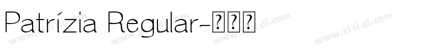 Patrízia Regular字体转换